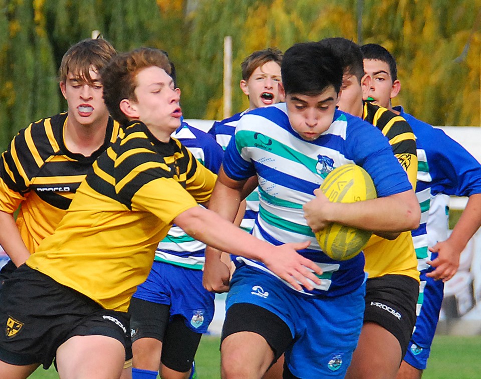 Trelew RC celebra hoy sus 48 años de vida. Las “Cebras” cuentan con una gran cantera en rugby y hockey.
