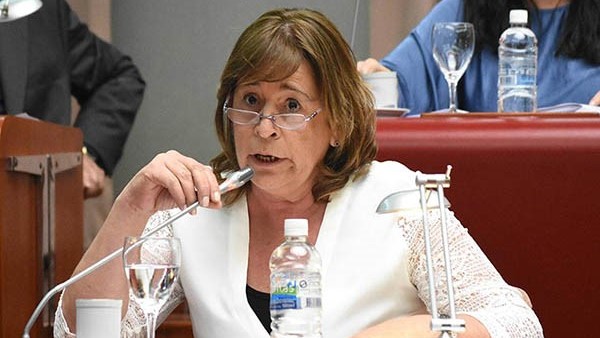 Alejandra Marcilla, presidente de la Comisión de Educación.