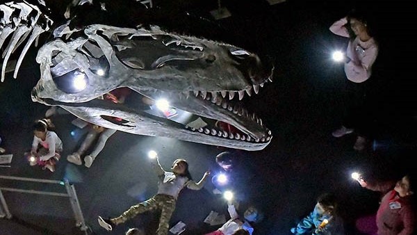 Chicos de entre 6 y 11 años experimentaron una divertida noche y durmieron en la sala de los dinosaurios.
