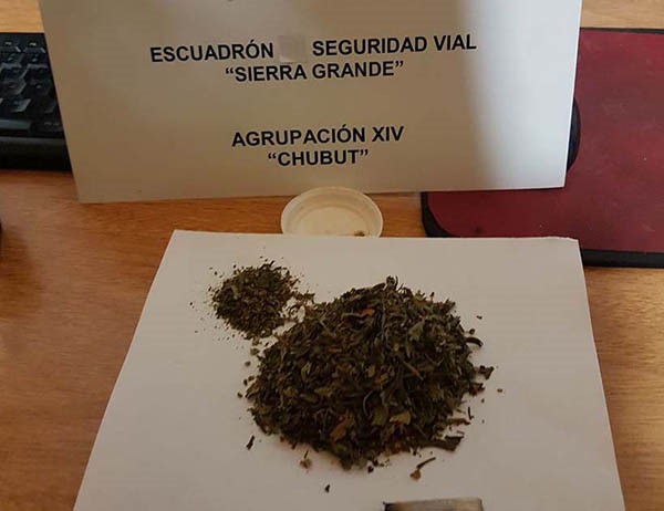 Verde. Gendarmería y un nuevo operativo antidrogas peligrosas.