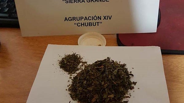 Verde. Gendarmería y un nuevo operativo antidrogas peligrosas.