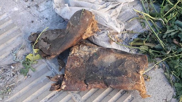 Los restos óseos fueron hallados en plena vía pública de la ciudad.