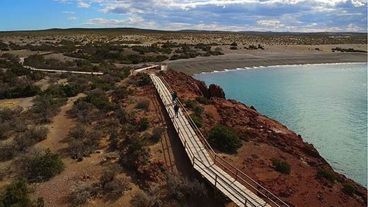 Punta Tombo es un gran laboratorio para entender los pingüinos y el mar