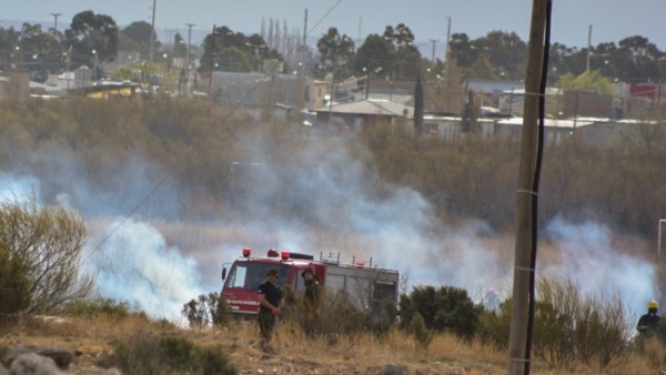 Llamas. El fuego alcanzó dimensiones importantes y  varias dotaciones de Bomberos debieron intervenir.