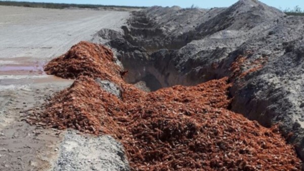 Remediar el impacto ambiental. Quieren incluir a Trelew entre los municipios beneficiados.