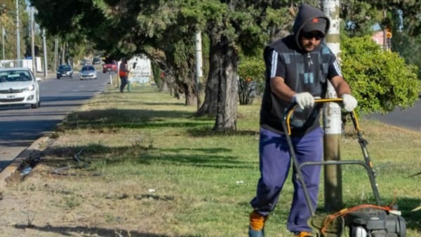 Césped. Uno de los agentes municipales emprolijando un espacio verde en la capital chubutense.