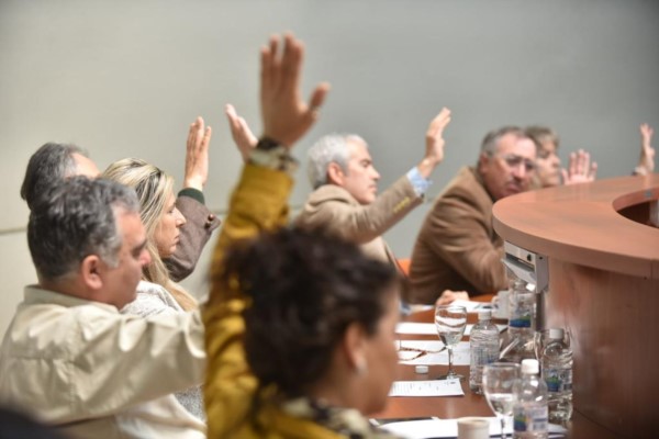 Los diputados finalmente aprobaron la iniciativa