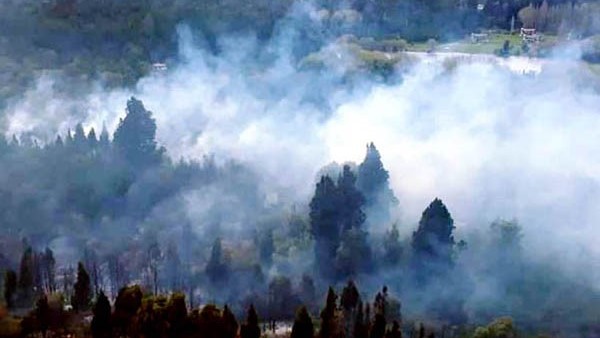 Se está trabajando para controlar el fuego que afecta la zona sur.