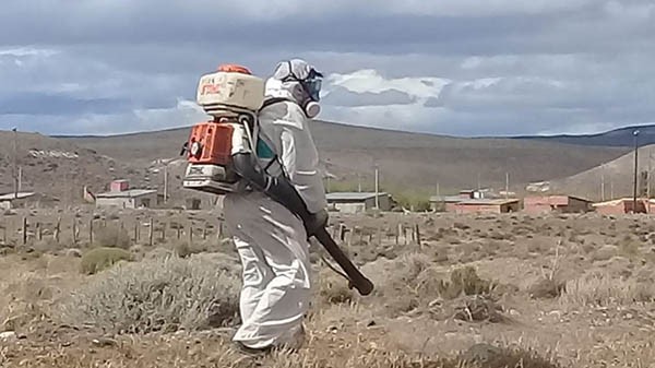 Personal especializado trabaja en combatir las tucuras con el uso de insecticidas.