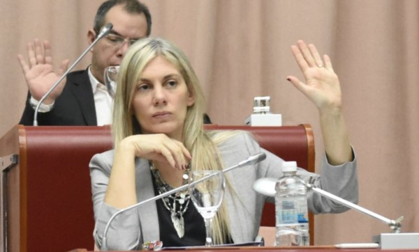 Papaiani en la Cámara. Detrás, Grazzini, otro que se sumaría al equipo de Arcioni.