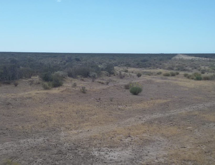 La Policía encontró huellas de un camión ajeno al establecimiento.