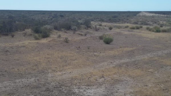 La Policía encontró huellas de un camión ajeno al establecimiento.