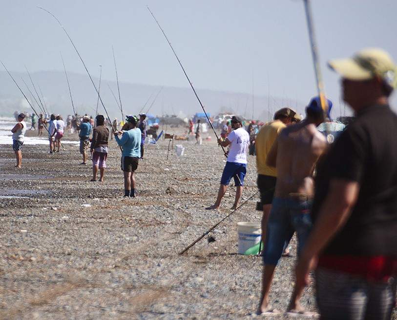 Vuelven las cañas a la costa este fin de semana en la zona “los palos”.
