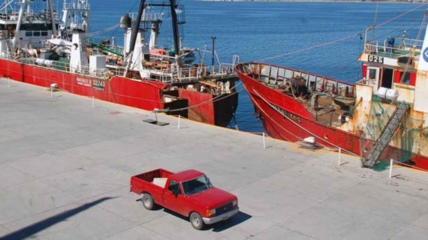 La actividad de los congeladores volverá a concretarse en el muelle de cruceros.