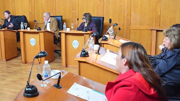Idea. El Concejo debate cómo reactivar el sector comercial en Trelew.