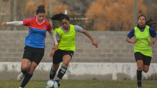 La presentación se desarrollará el próximo lunes en la Liga del Valle.