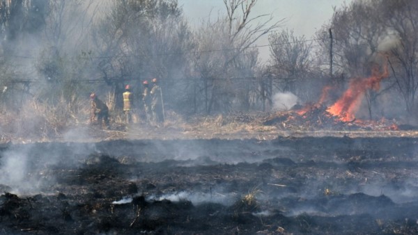 Al menos dos hectáreas fueron arrasadas en una quema que se descontroló en la zona sur de Trelew.