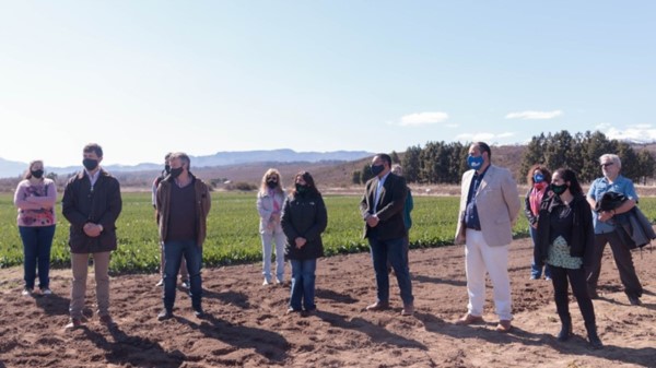 Con una sencilla ceremonia se inauguró la temporada de tulipanes.