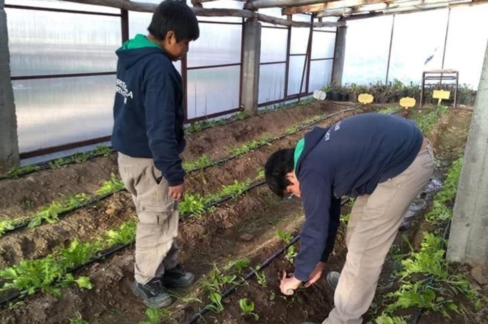 Alumnos de la Escuela Agrotécnica 733 trabajando la tierra. Tendrán el honor de trabajar con Microsoft.