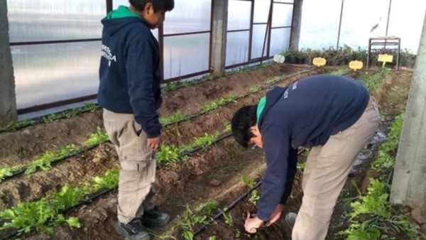 Alumnos de la Escuela Agrotécnica 733 trabajando la tierra. Tendrán el honor de trabajar con Microsoft.