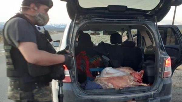 El descubrimiento de los animales faenados fue en un control de ruta
