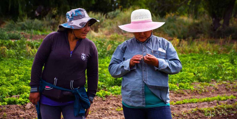 Labor. El informe centra su atención en la vida y trabajo de los migrantes de origen boliviano