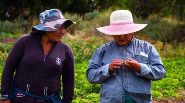 Labor. El informe centra su atención en la vida y trabajo de los migrantes de origen boliviano