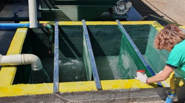 Muestra. Los técnicos de Ambiente en plena inspección.