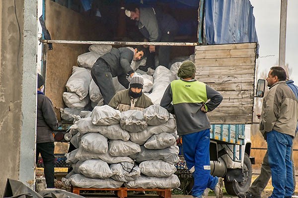 Otras 30 toneladas de papas llegaron a través del proyecto Plantando Manzanos, e irán para Rawson.