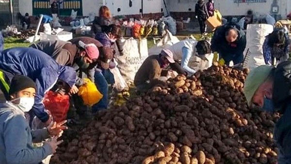 Las papas vienen de Buenos Aires y serán distribuidas en los barrios.