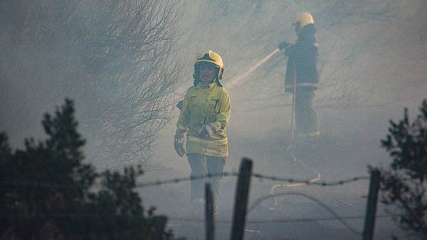 De acuerdo a los primeros análisis, el fuerte viento de ayer pudo haber generado el voraz foco ígneo.