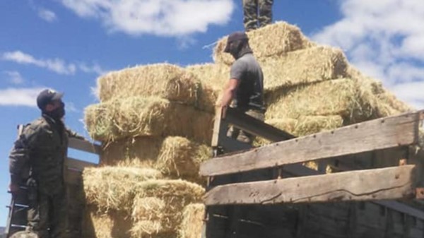 Alrededor de 167 fardos fueron secuestrados por la divisiòn Rural