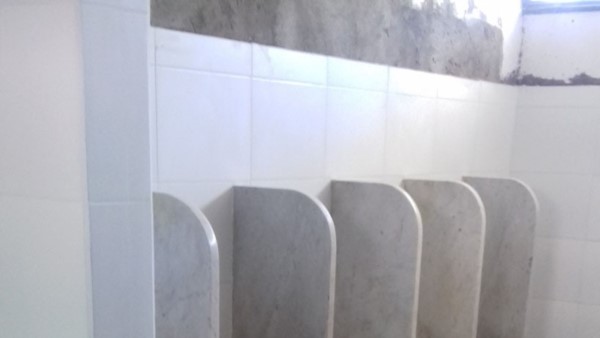 Realizaron tareas de revoque en los baños y otras obras en la Escuela.