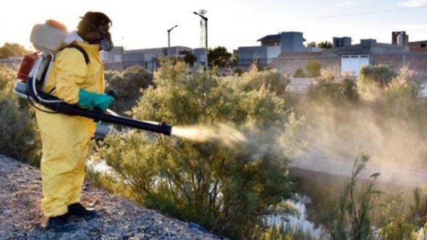 Personal de fumigación trabajó en el Canal Owen y Bº 274 viviendas.