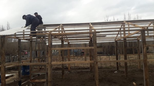 Los invernáculos servirán para la producción de hortalizas frescas.
