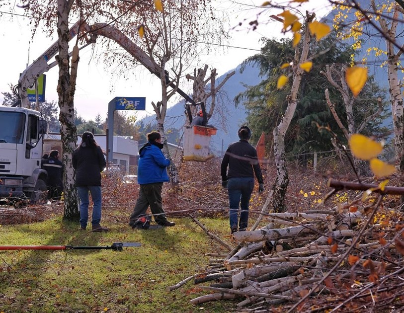 Trabajos de poda para prevenir los cortes de energía en la Cordillera.