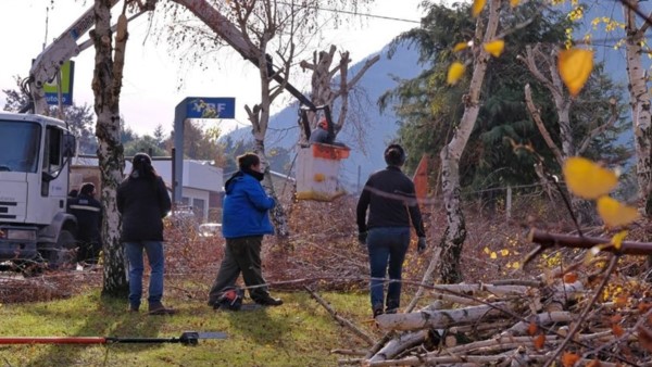 Trabajos de poda para prevenir los cortes de energía en la Cordillera.