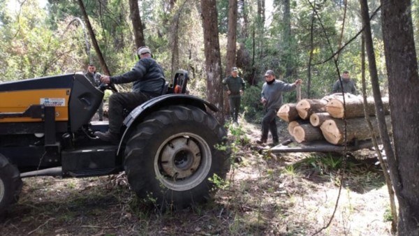 Le pidieron que se retire pero insistió con llevarse la madera.