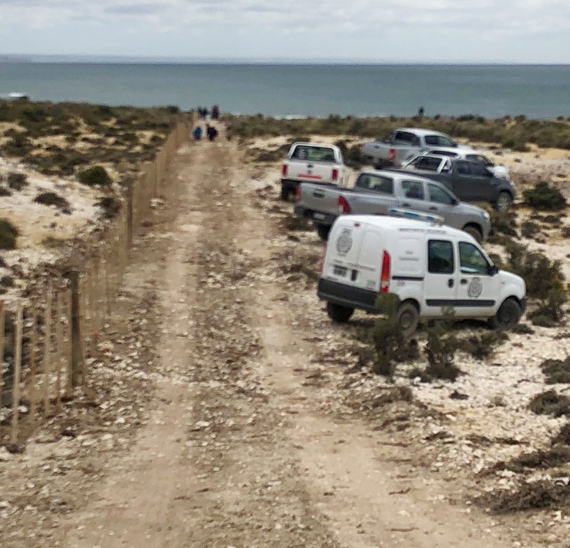 Las inspecciones que se llevaron adelante ayer en el campo lindante.