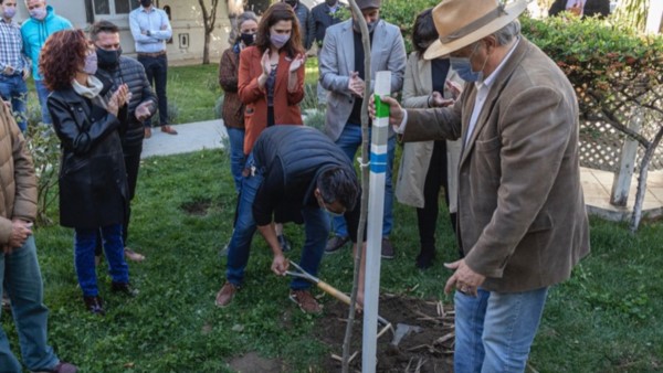 El Municipio de Comodoro Rivadavia se ashirió al plan nacional y se procedió a la plantación de dos árboles.
