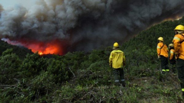 Brigadistas por tierra, aviones e helicópteros hidrantes operan en el lugar para sofocar los incendios.