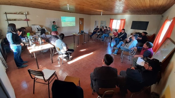 El proyecto busca ordenar el uso forestal y forrajerocon ñire y lenga.