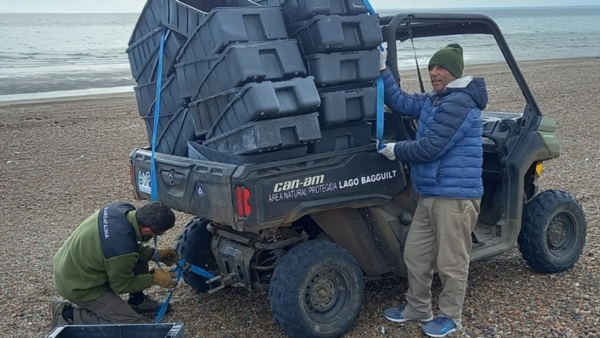 Se utilizó un UTV para transportar los cajones desde la playa.