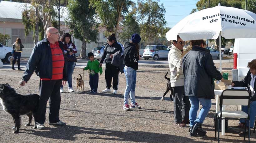 Se registra un promedio de 150 atenciones de mascotas por día.