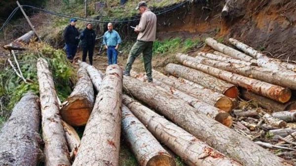Daño ambiental. El escenario que encontraron los denunciantes.
