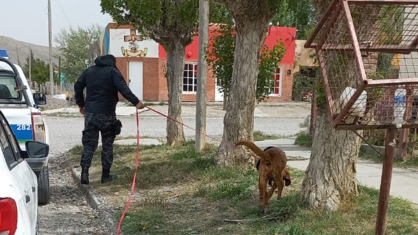 Para la búsqueda se realiza también la utilización de canes.