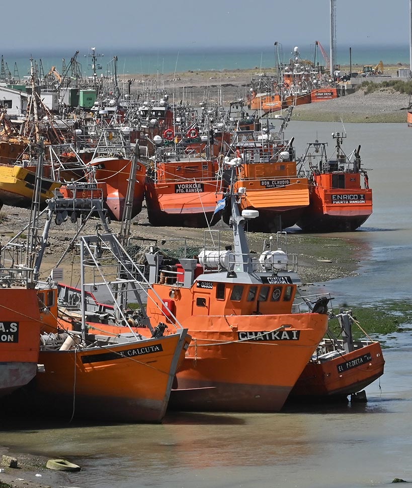 Si todo fluye, antes de fin de noviembre volvería la pesca de langostino.