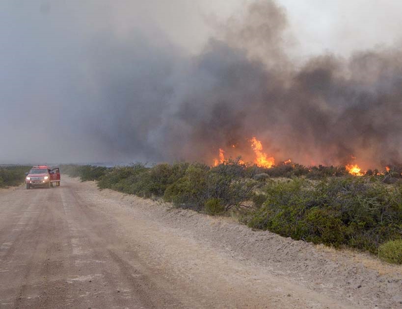 Establecen un marco que evite potenciales incendios de pastizales.