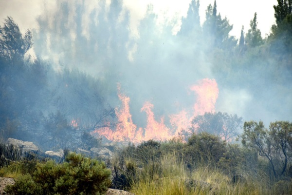 Foto de Norman Evans / Jornada