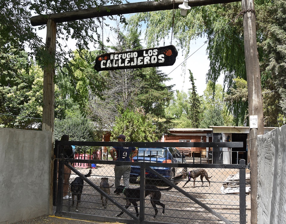 Salvar vidas. El Refugio cuida hoy a 55 animales y organizó un sorteo para saldar los gastos veterinarios.